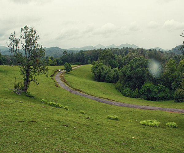 Somavarpett Kodagu